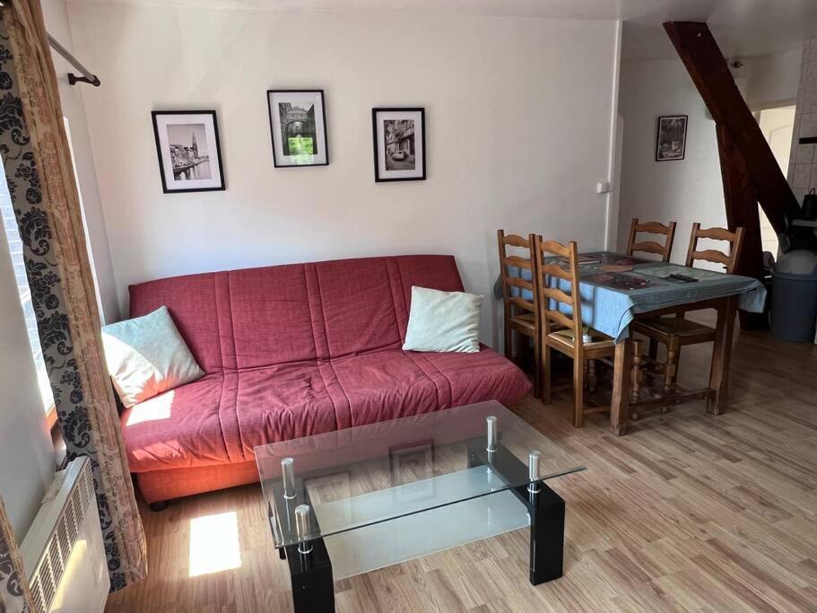 Grand Lumineux 2ch. Historique. Appartement *